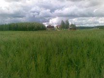 Koti tieltä